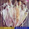 Khô mực câu Phú Quốc loại 10 15 con (4)