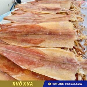 kho muc cau loai lon